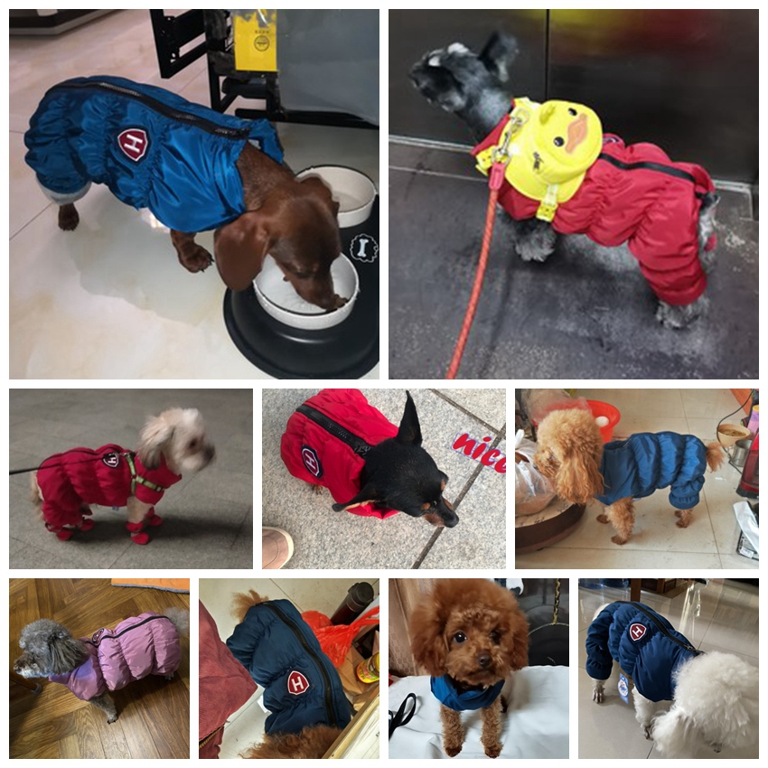 Zipper Snow Unisex Dog Waterpr - Winter Clothing Baby ulasan dan harga
